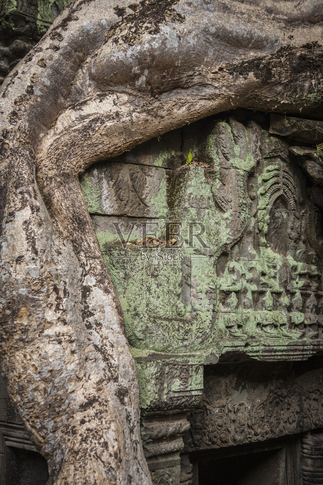 塔普拉姆寺，柬埔寨照片摄影图片