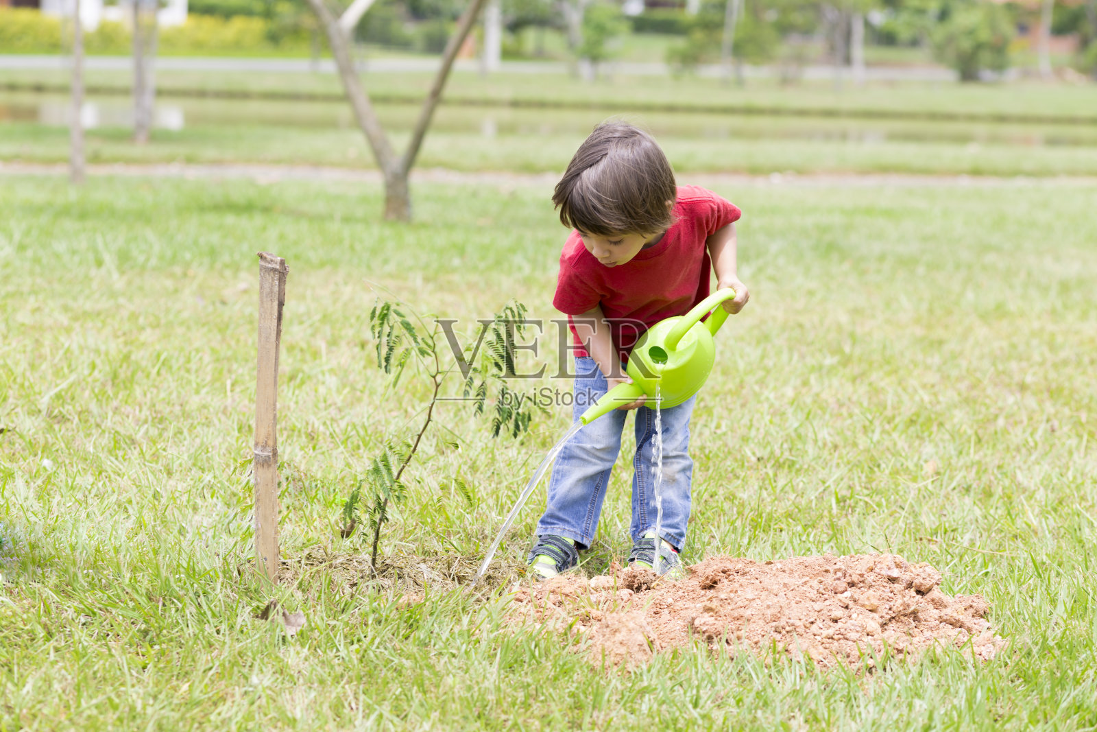 小男孩在户外浇水照片摄影图片