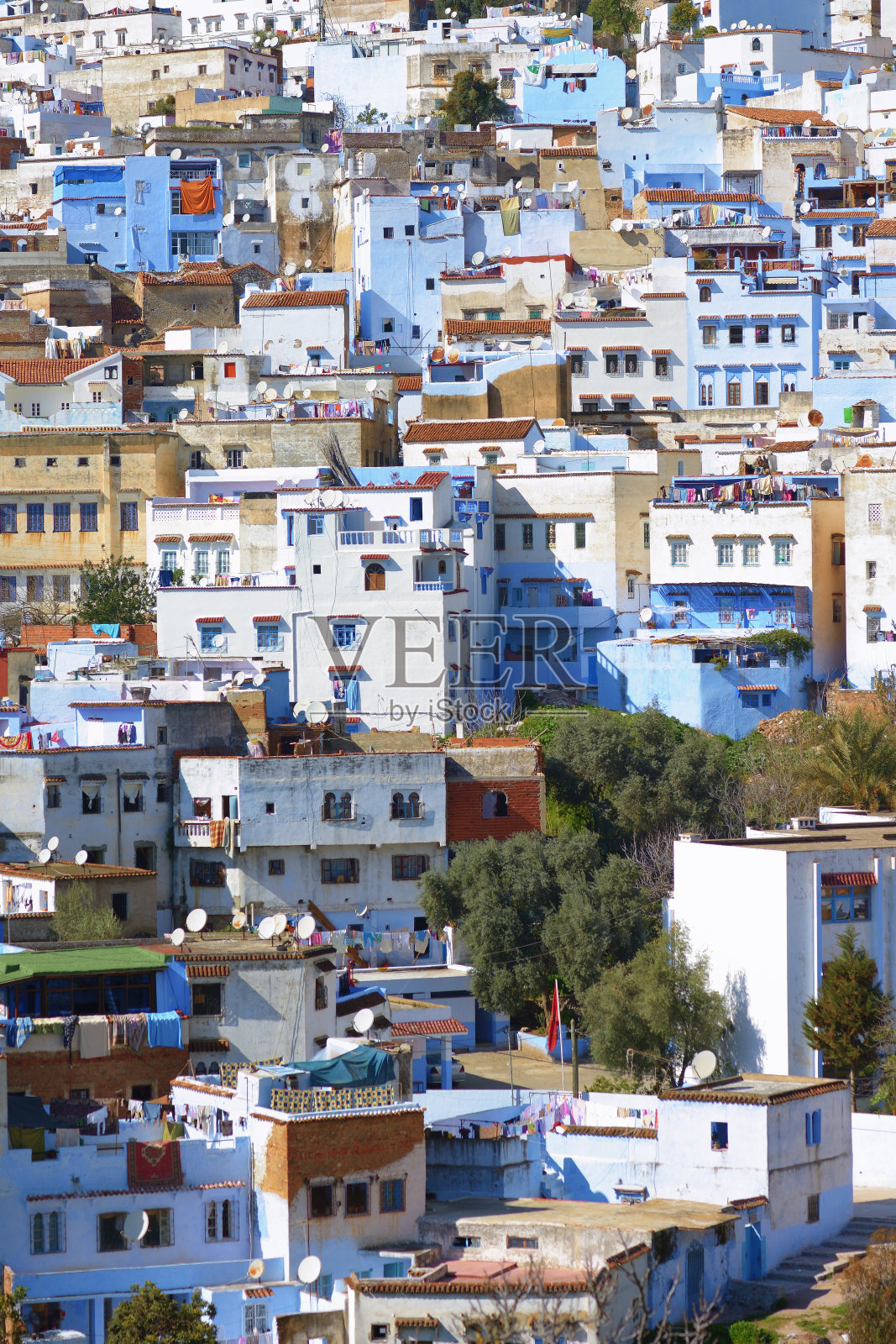 切芬照片摄影图片