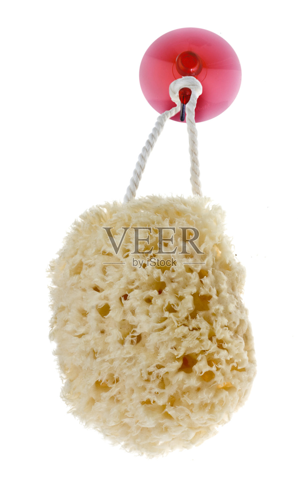 纳图尔施瓦姆照片摄影图片