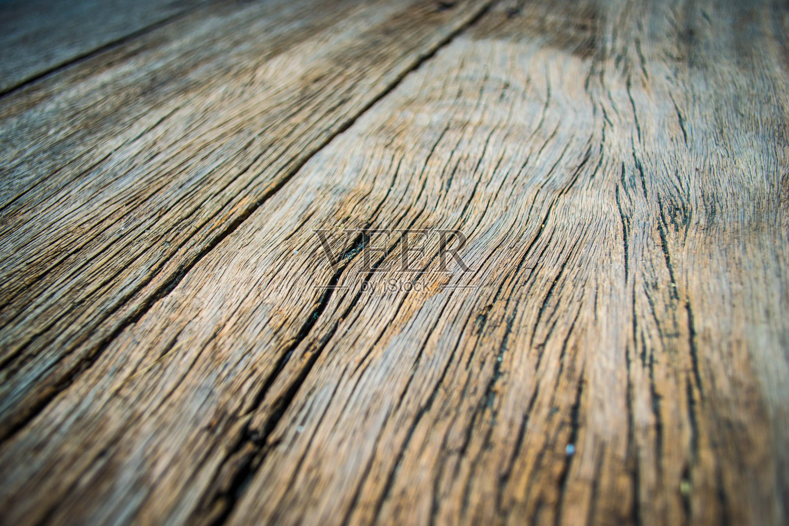 木照片摄影图片