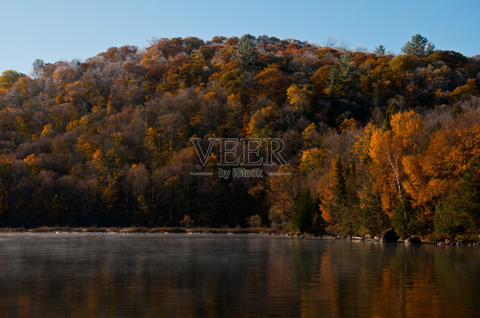 秋天湖边的树木照片摄影图片