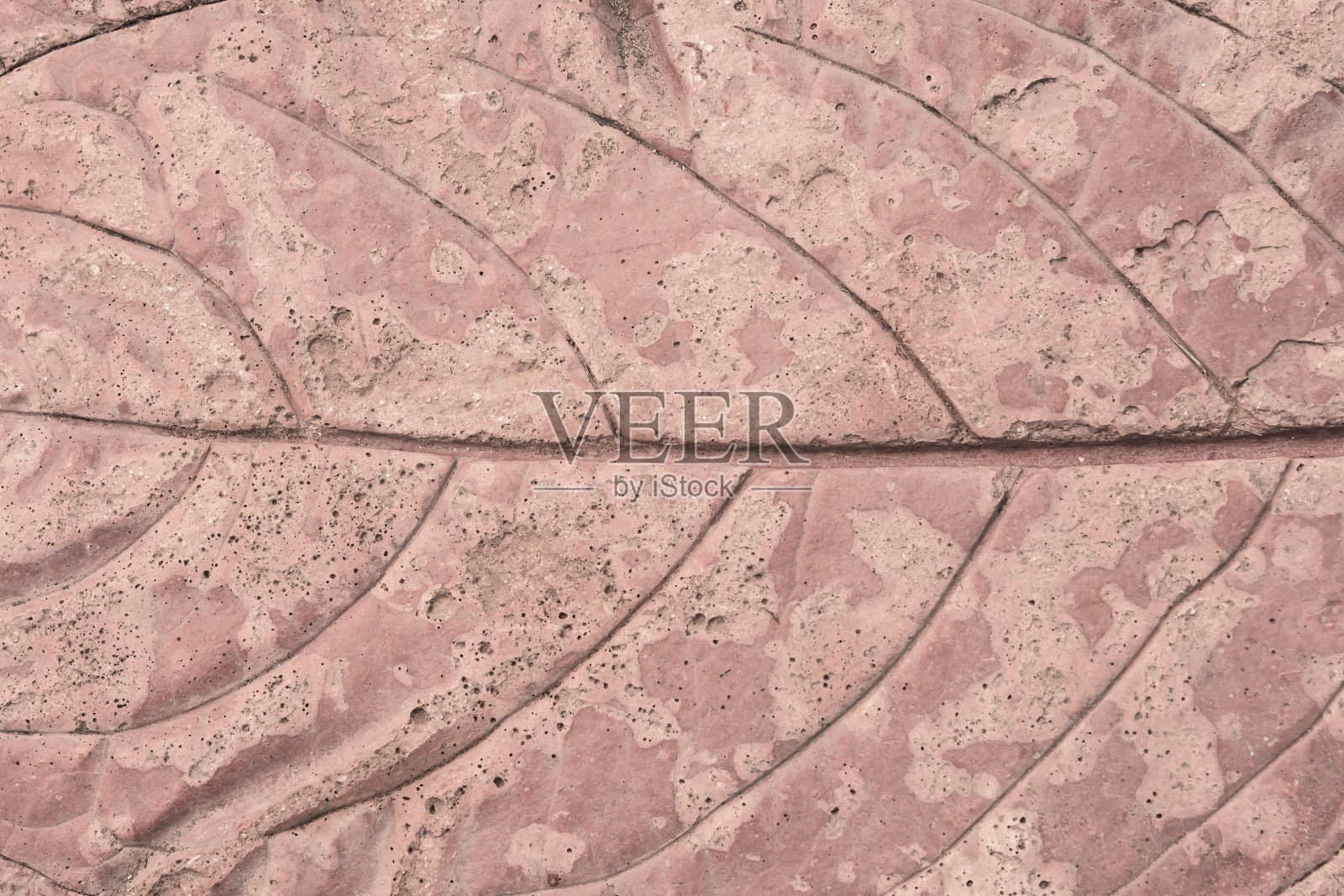 背景水泥叶图案照片摄影图片