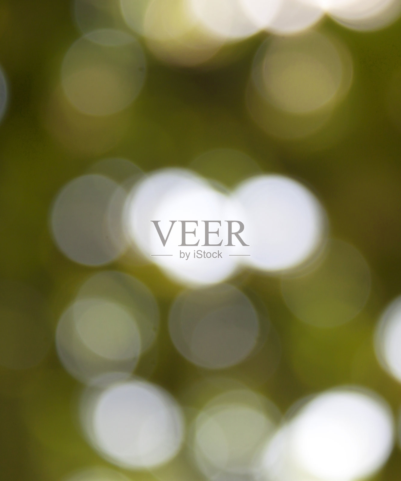 散景照片摄影图片