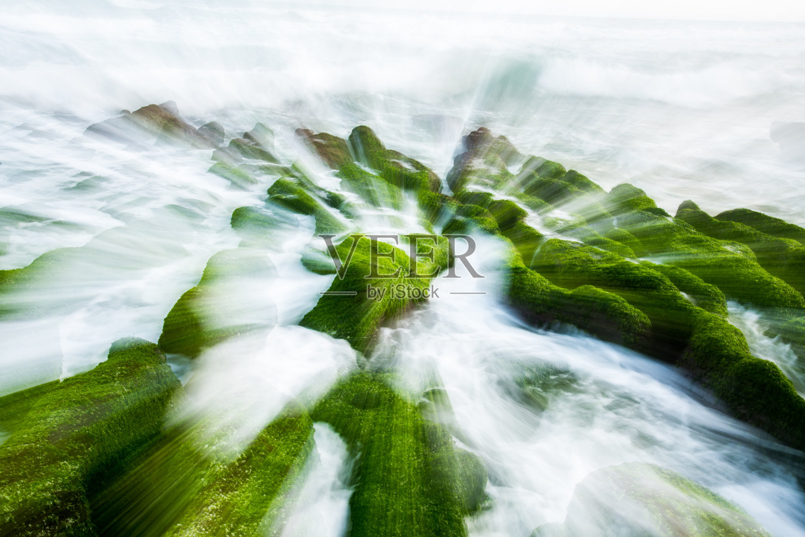 台湾沿岸海草照片摄影图片