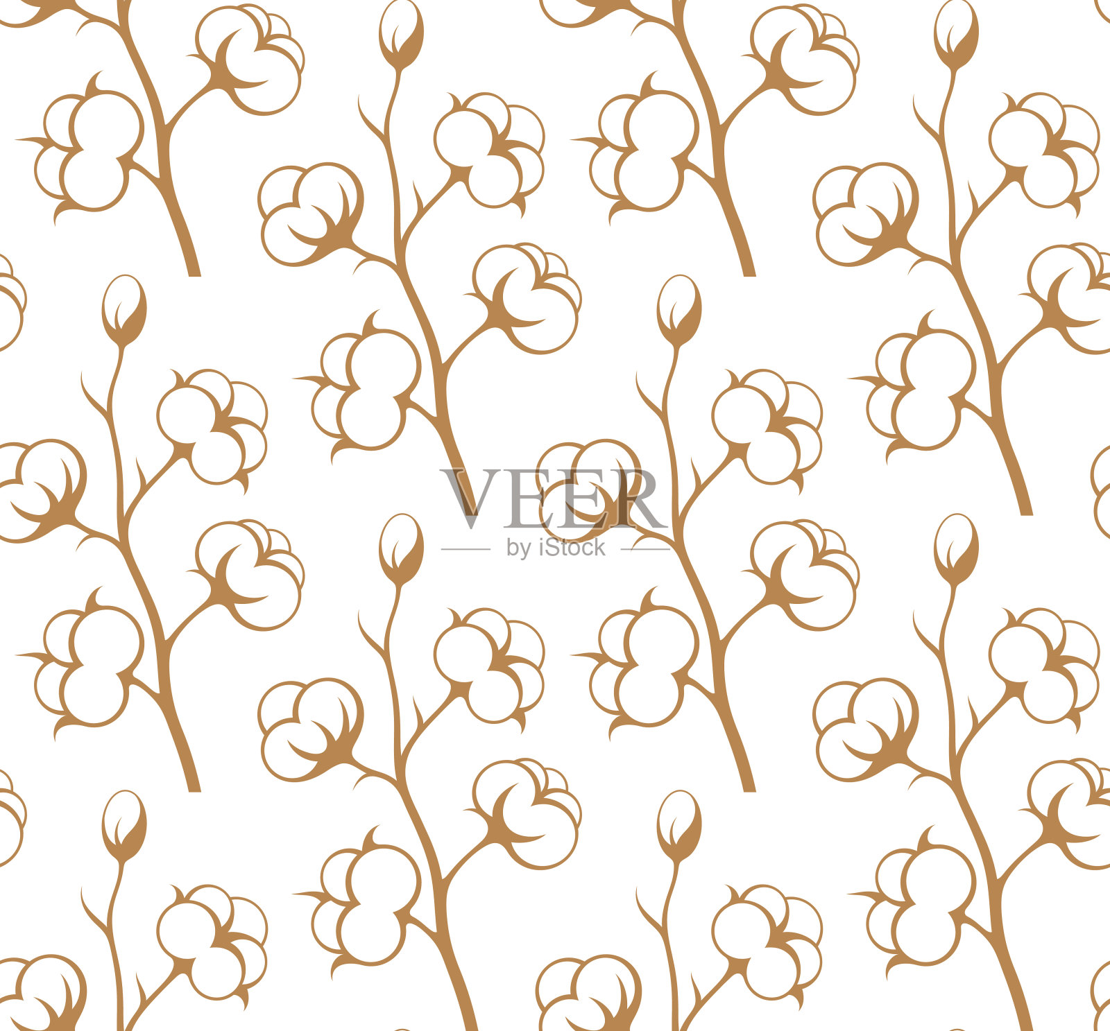 棉花。花的背景插画图片素材