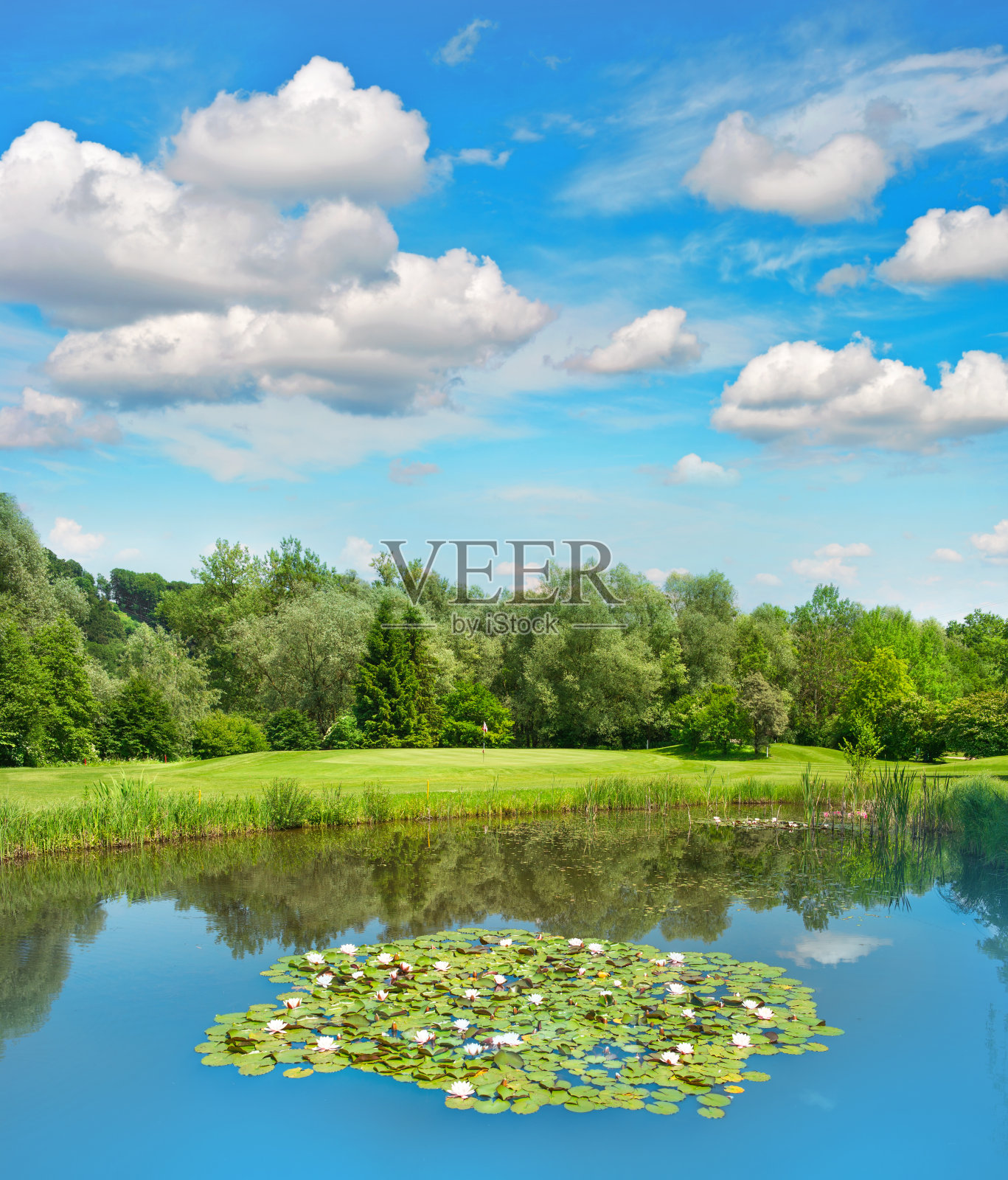 有湖和美丽的蓝天的高尔夫球场照片摄影图片