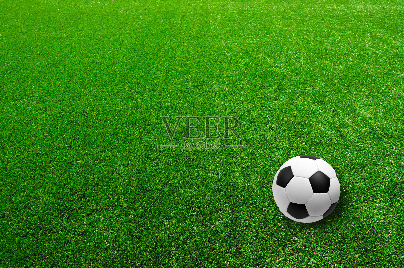 体育场照片摄影图片