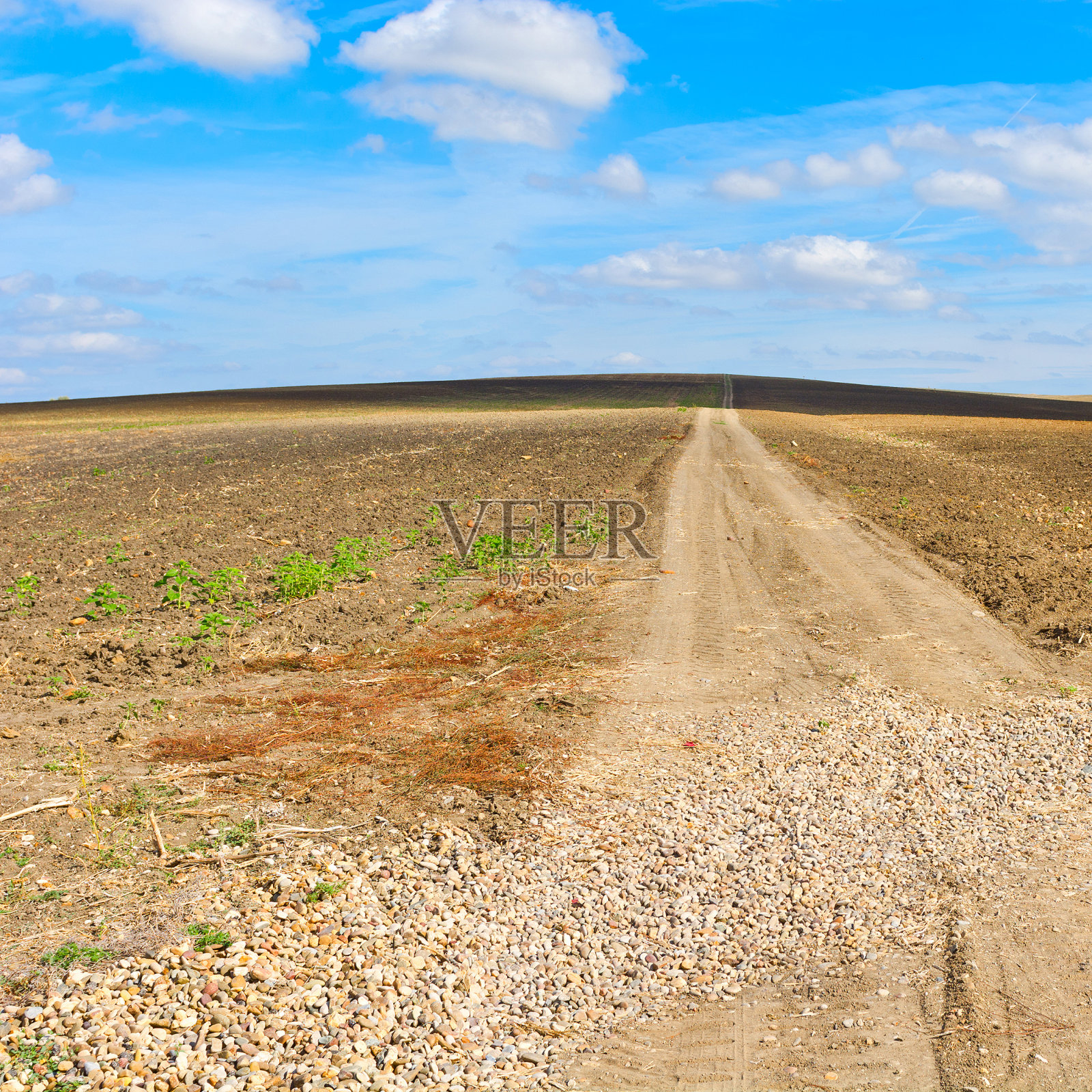土路照片摄影图片
