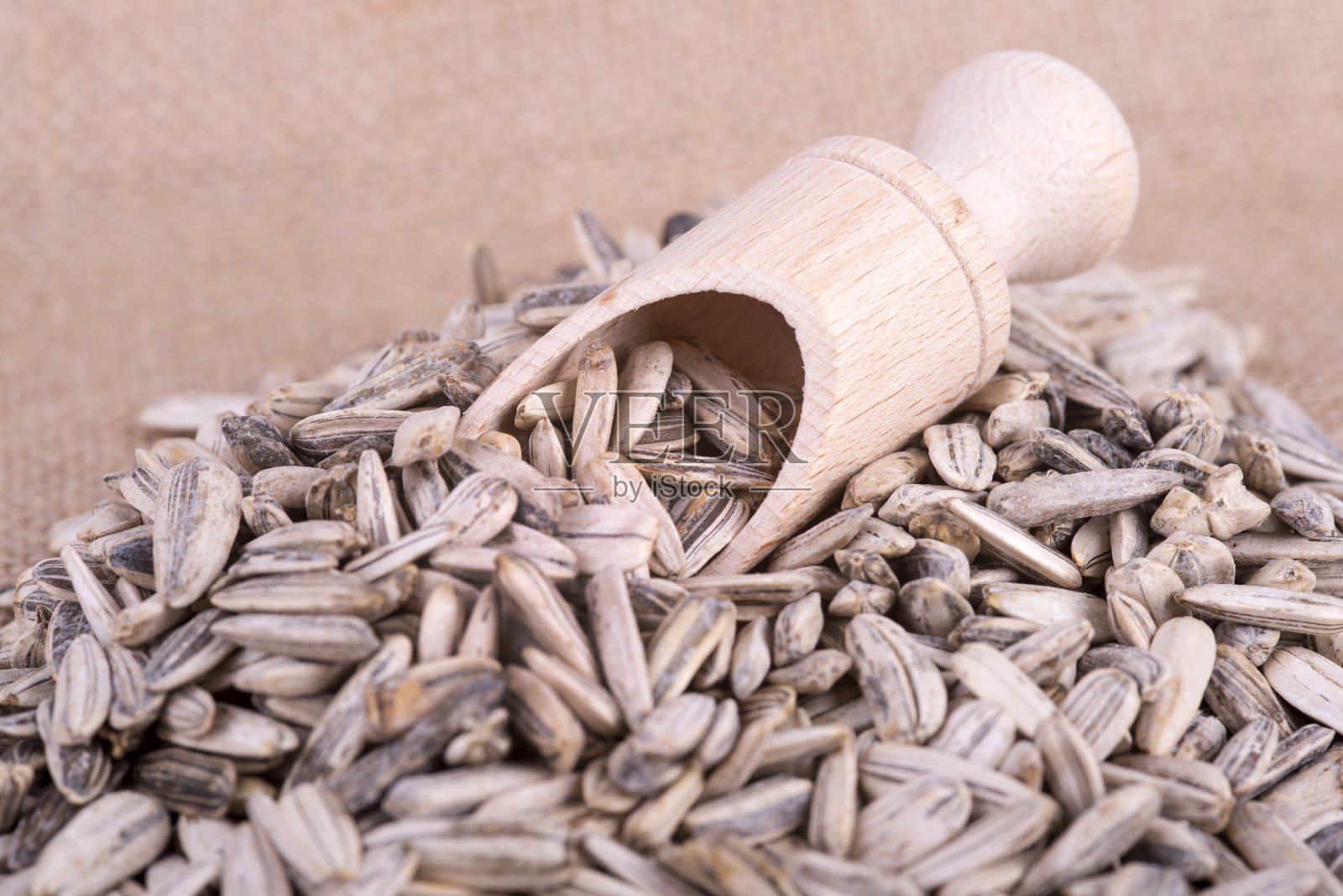 向日葵的种子照片摄影图片