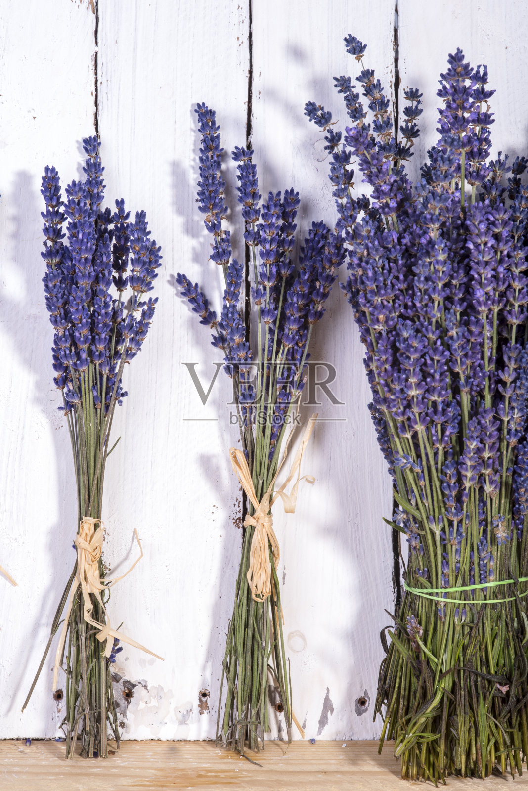 束薰衣草照片摄影图片