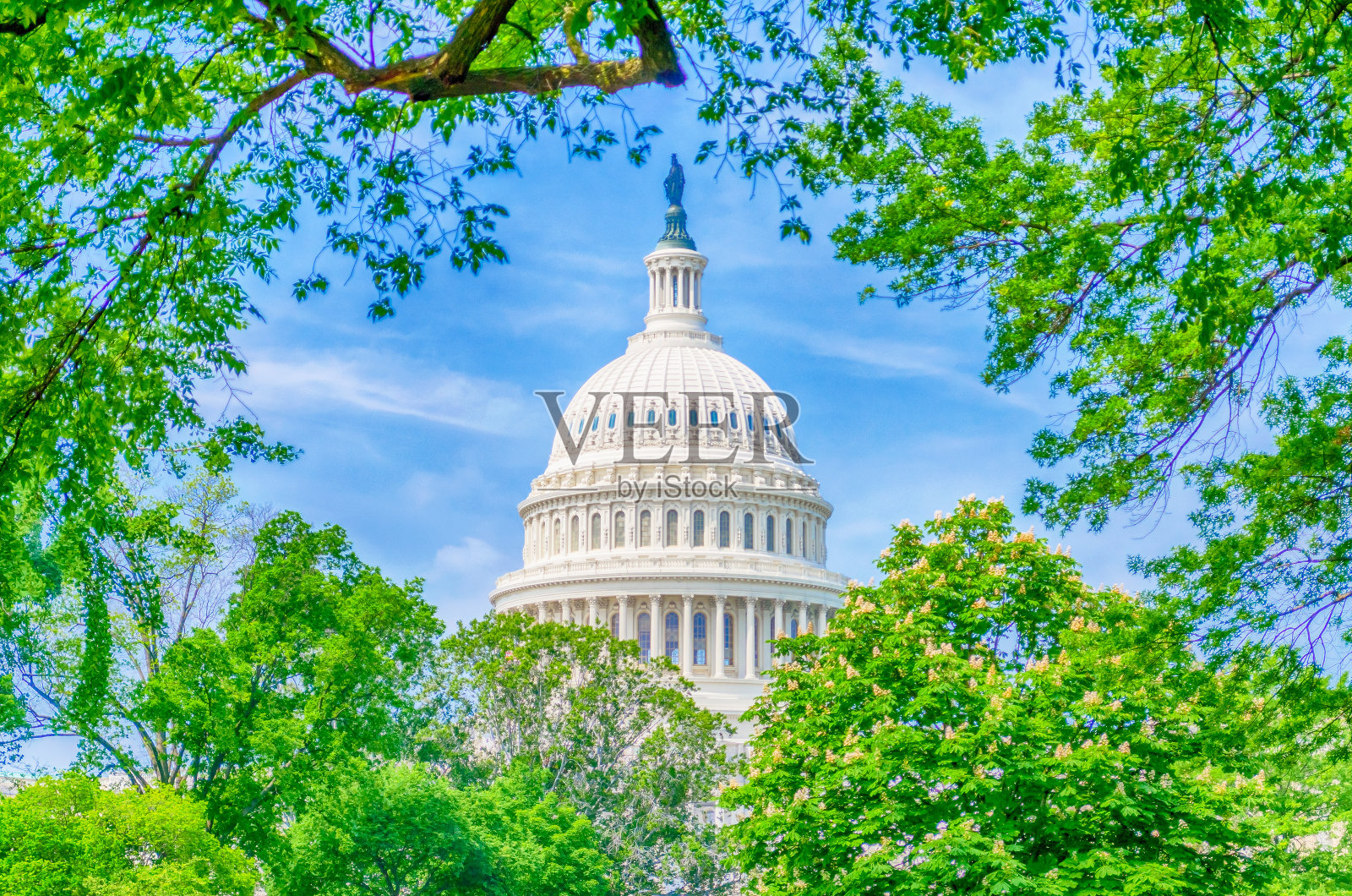 华盛顿特区美国国会大厦照片摄影图片