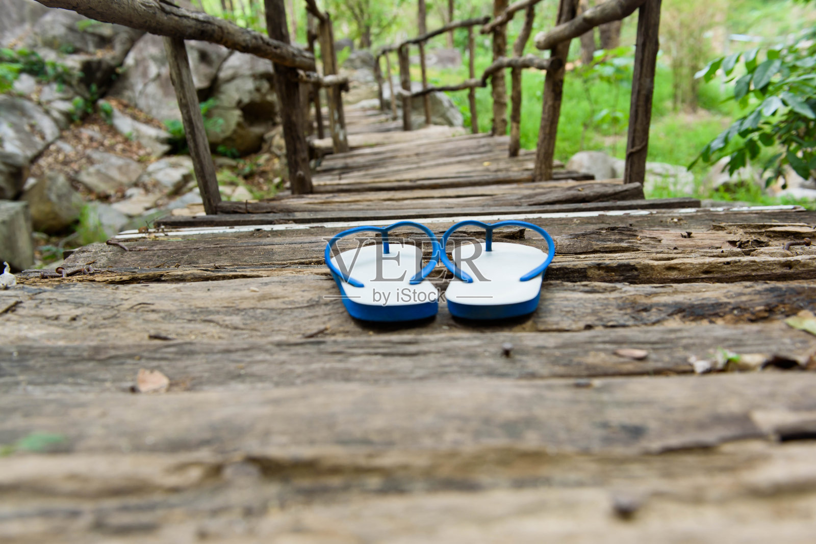 在森林里的老木桥上，照片摄影图片