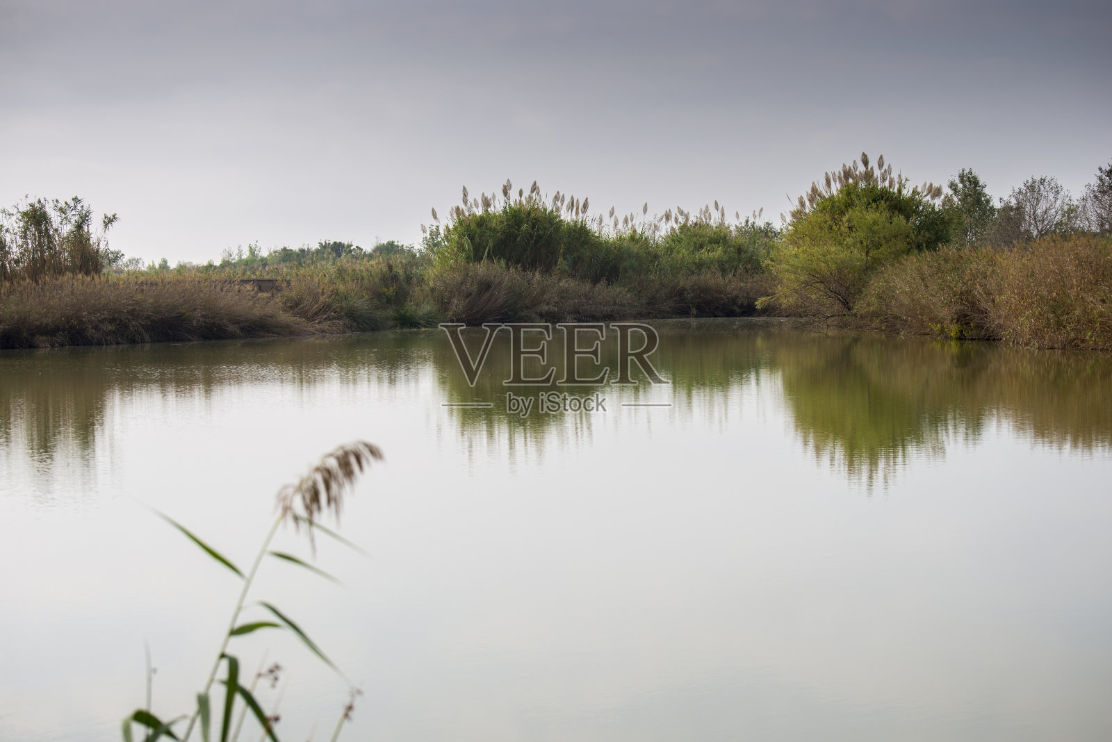 Llobregat湖照片摄影图片