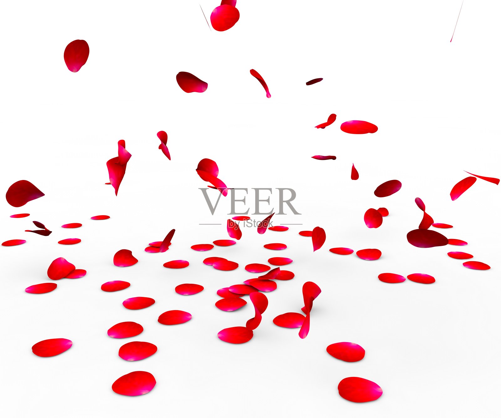 玫瑰花瓣飘落在表面照片摄影图片