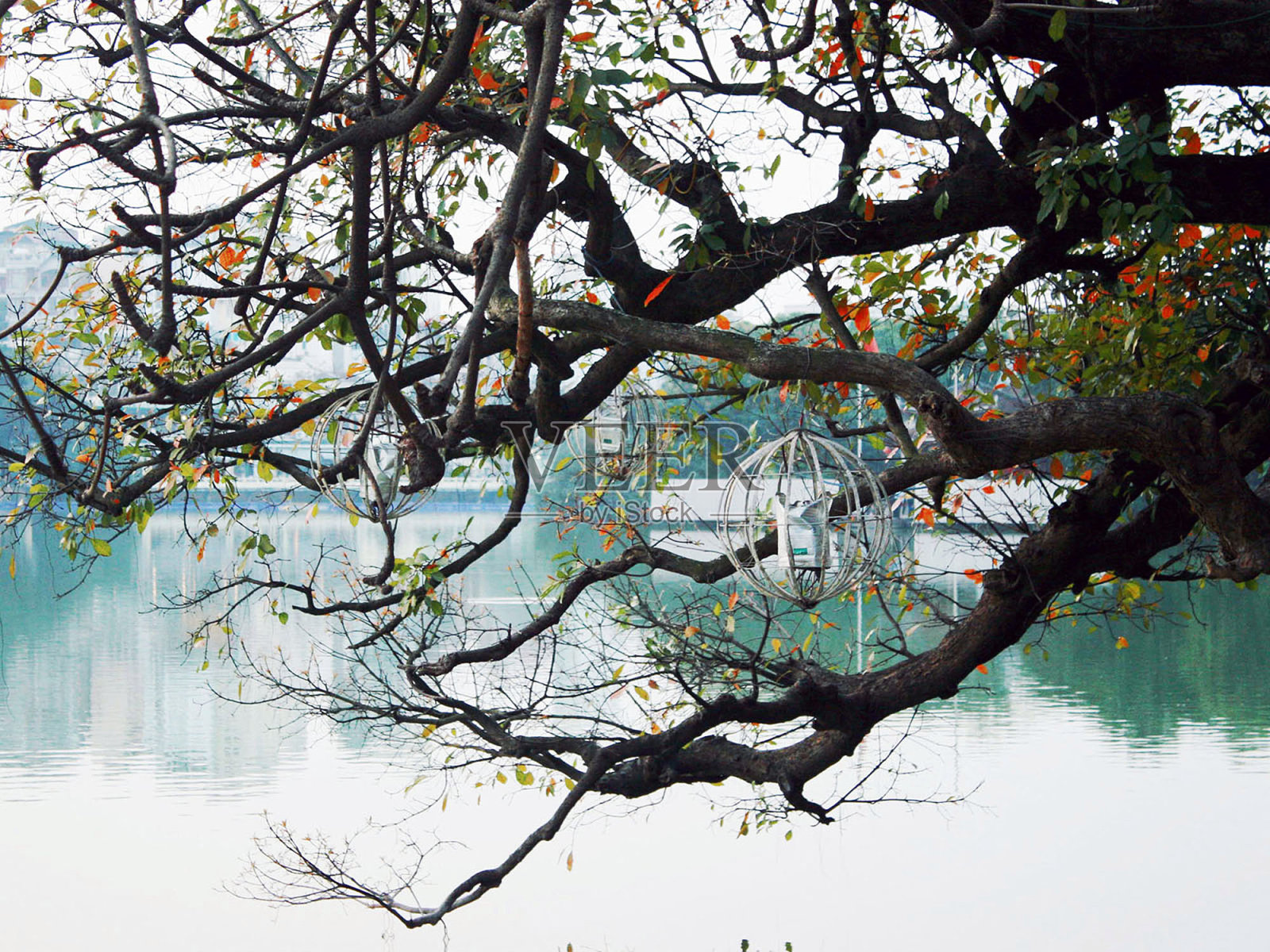 霍安基姆湖照片摄影图片