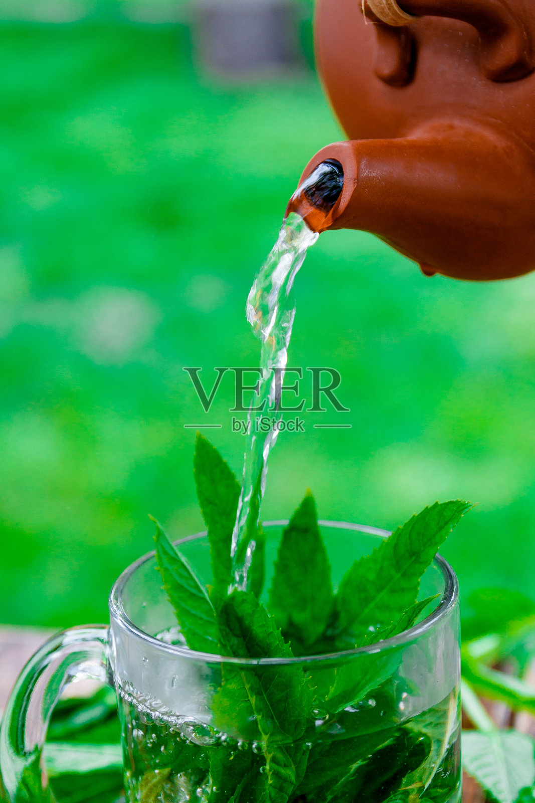 茶的概念照片摄影图片