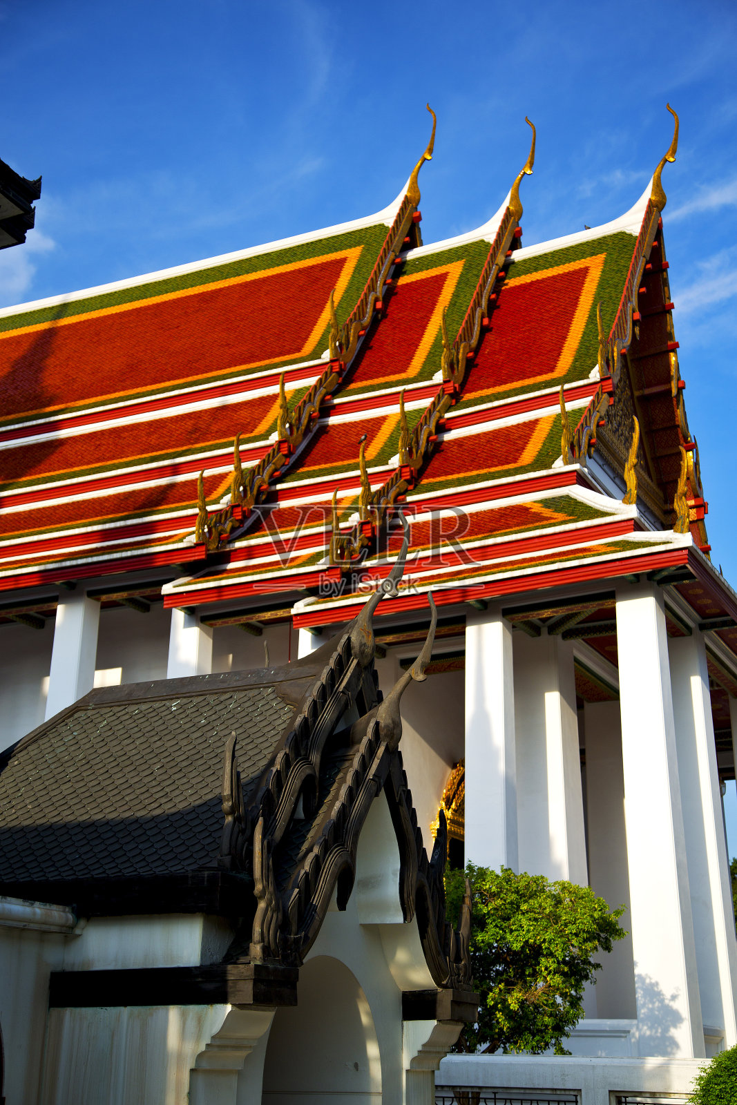 在泰国曼谷的寺庙中提取植物照片摄影图片