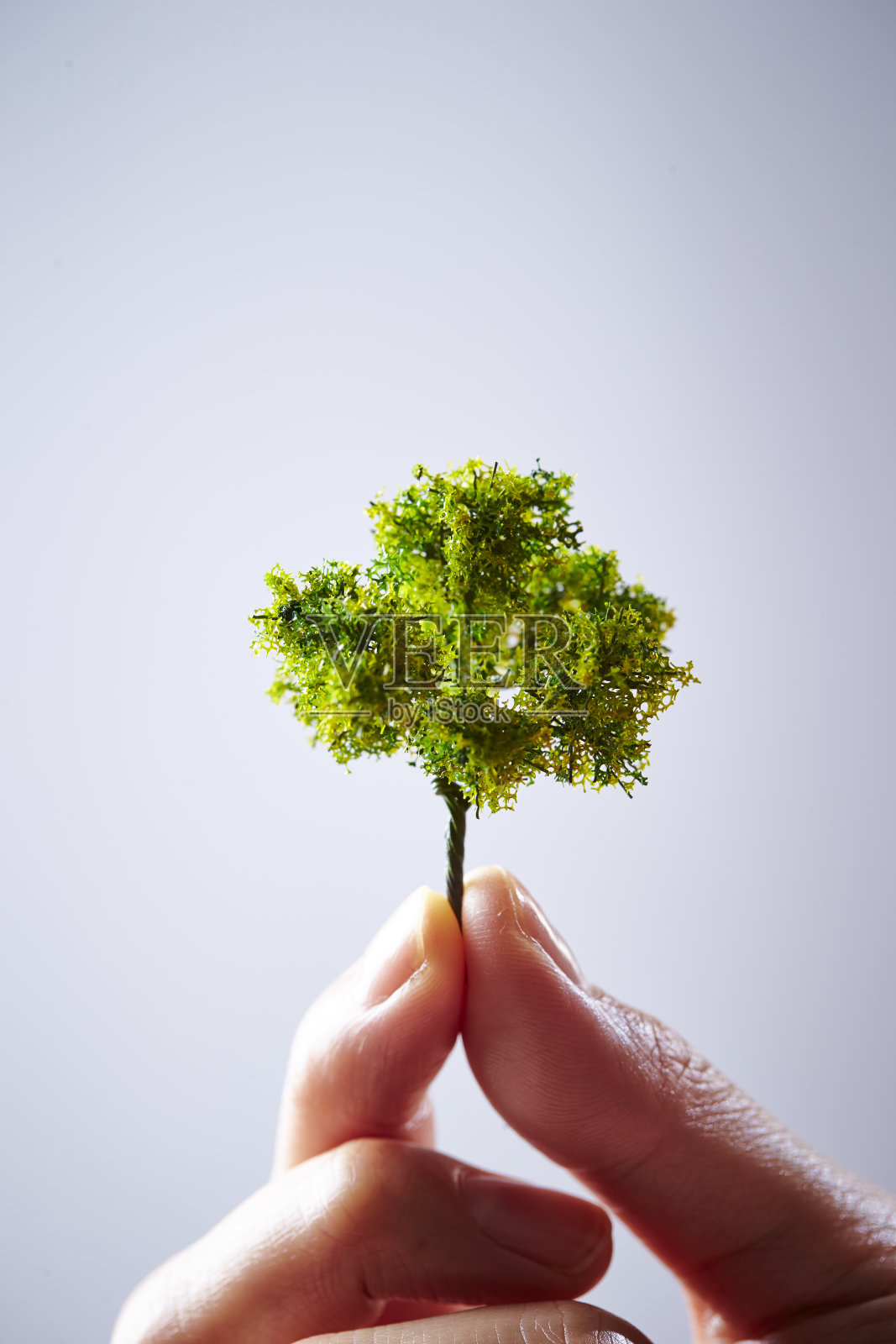 迷你树照片摄影图片