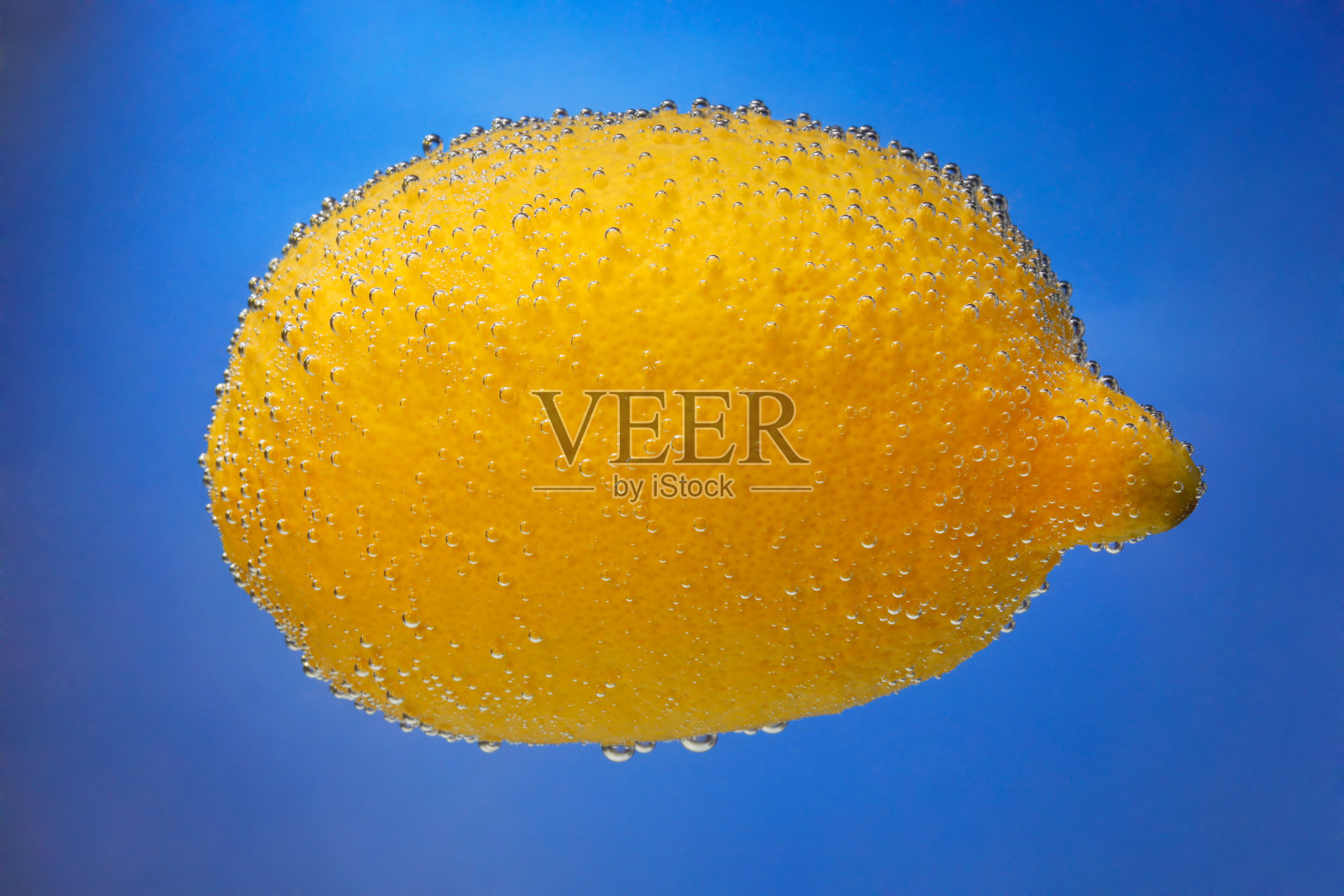 蓝色背景上覆盖着气泡的柠檬照片摄影图片