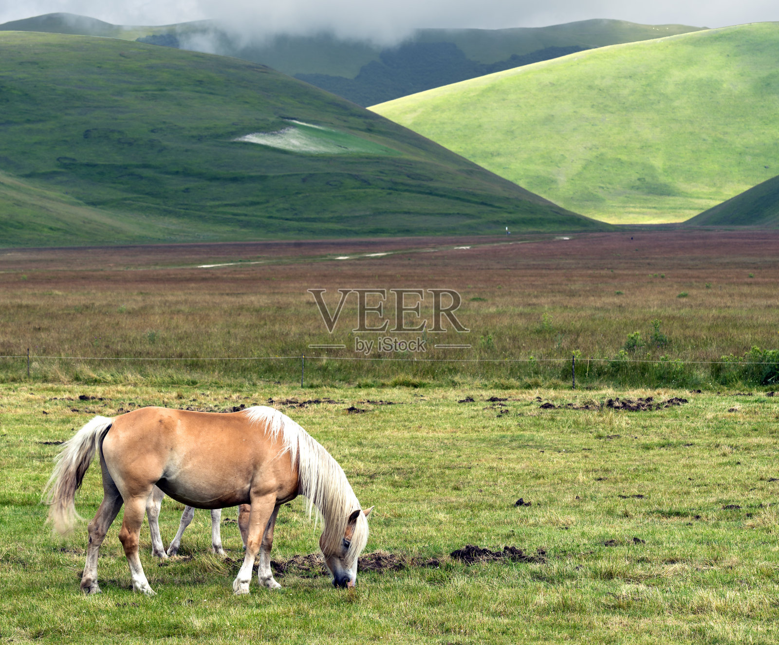 卡斯特卢西奥的大钢琴。照片摄影图片
