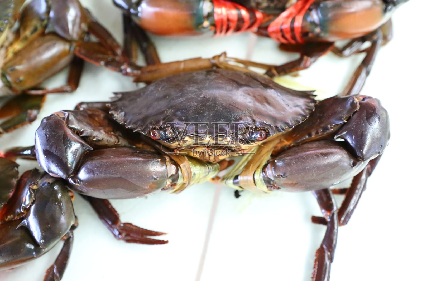 市场上准备烹煮的活螃蟹照片摄影图片