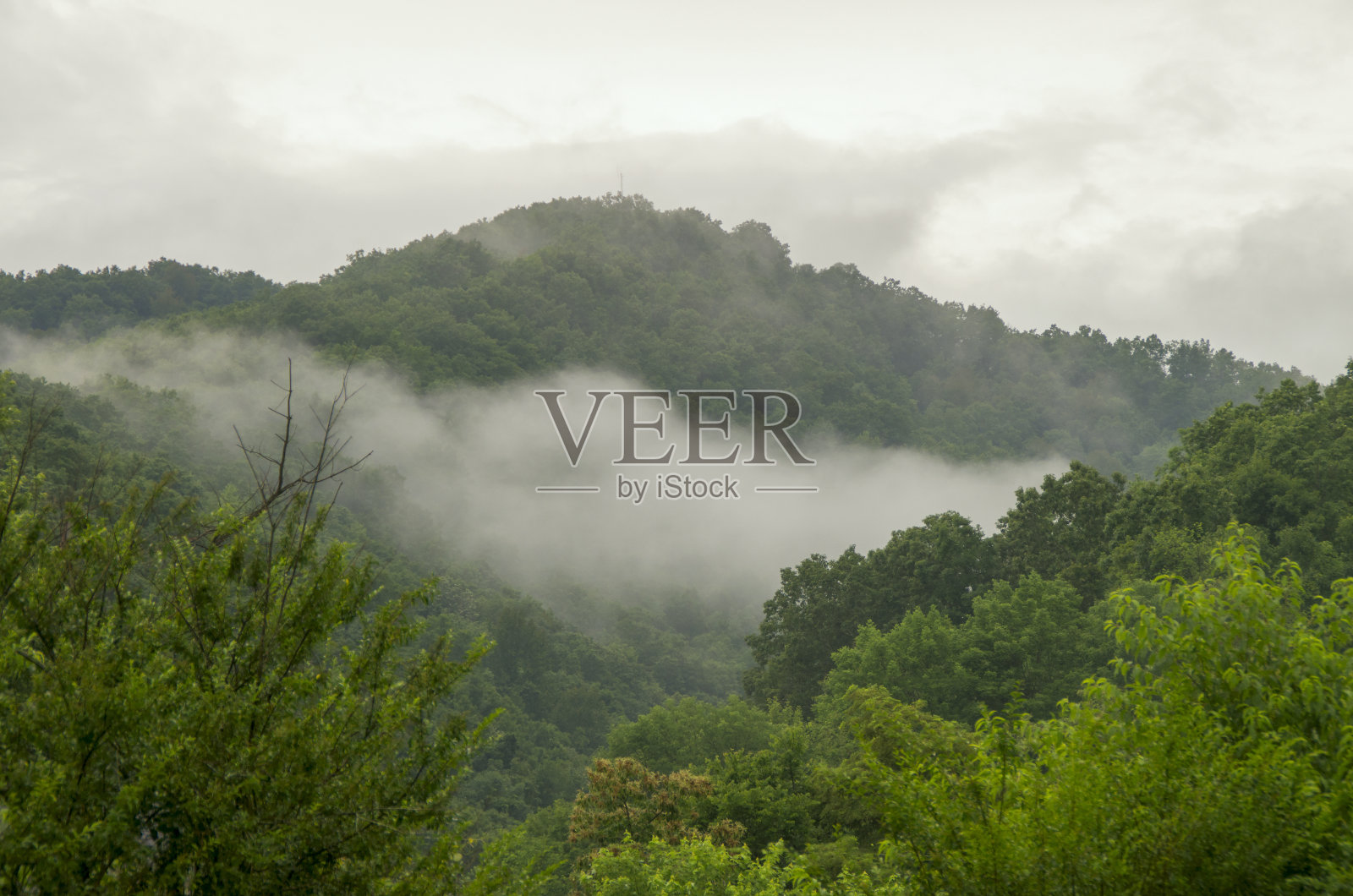 暴风雨过后,照片摄影图片