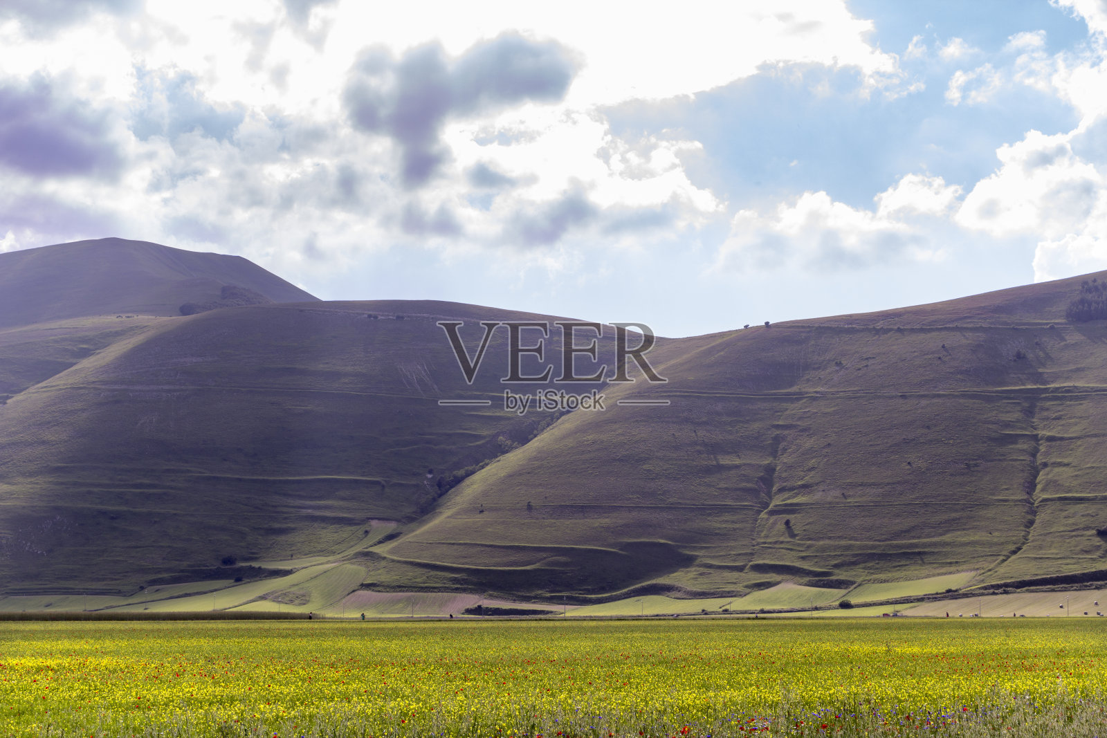 诺西亚的Catelluccio照片摄影图片