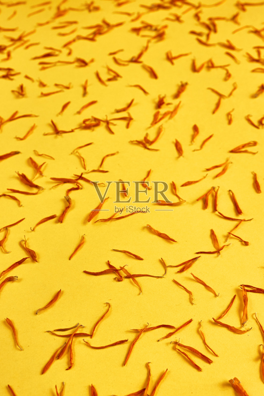 黄色背景上的万寿菊花瓣照片摄影图片