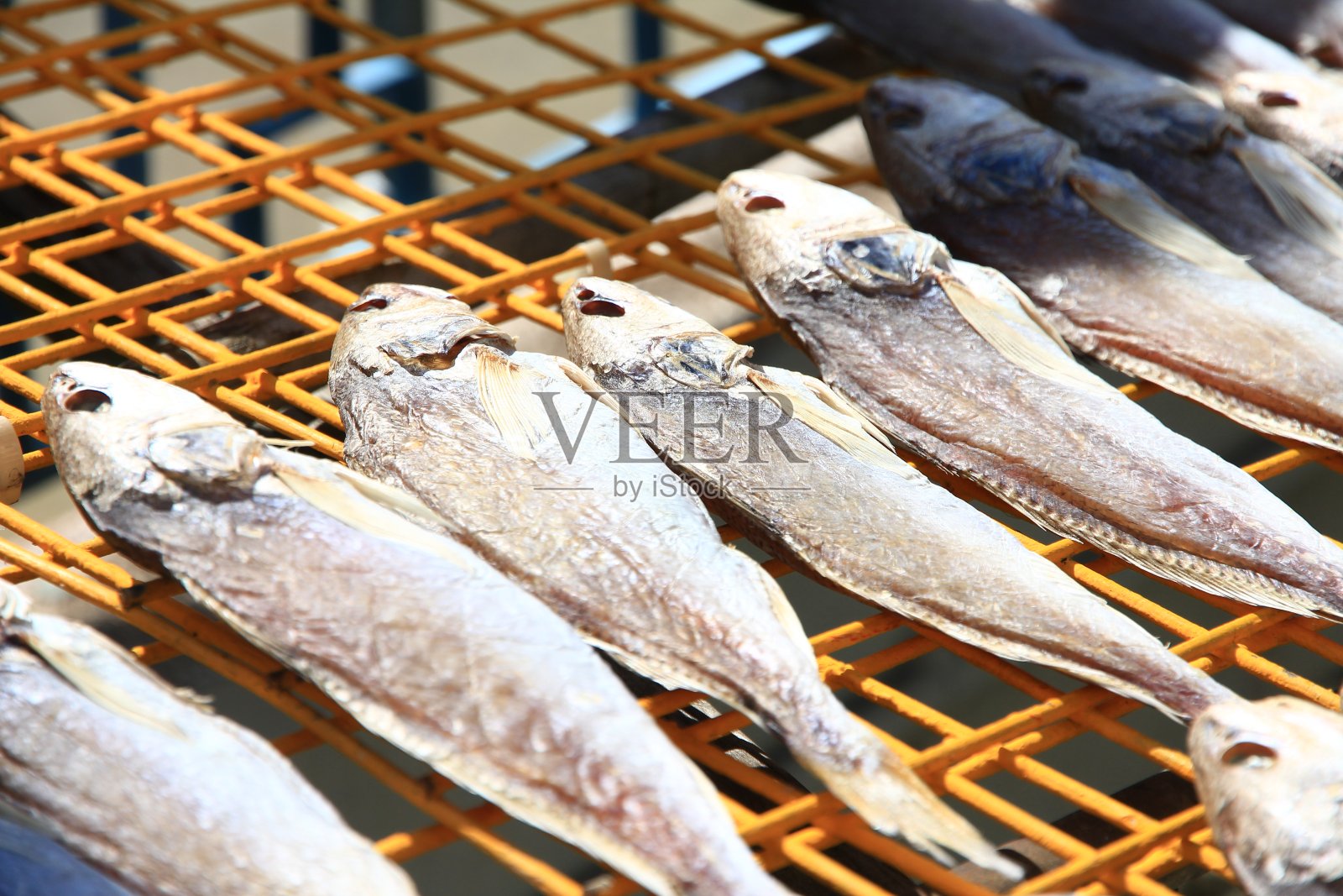 中国干海鲜照片摄影图片