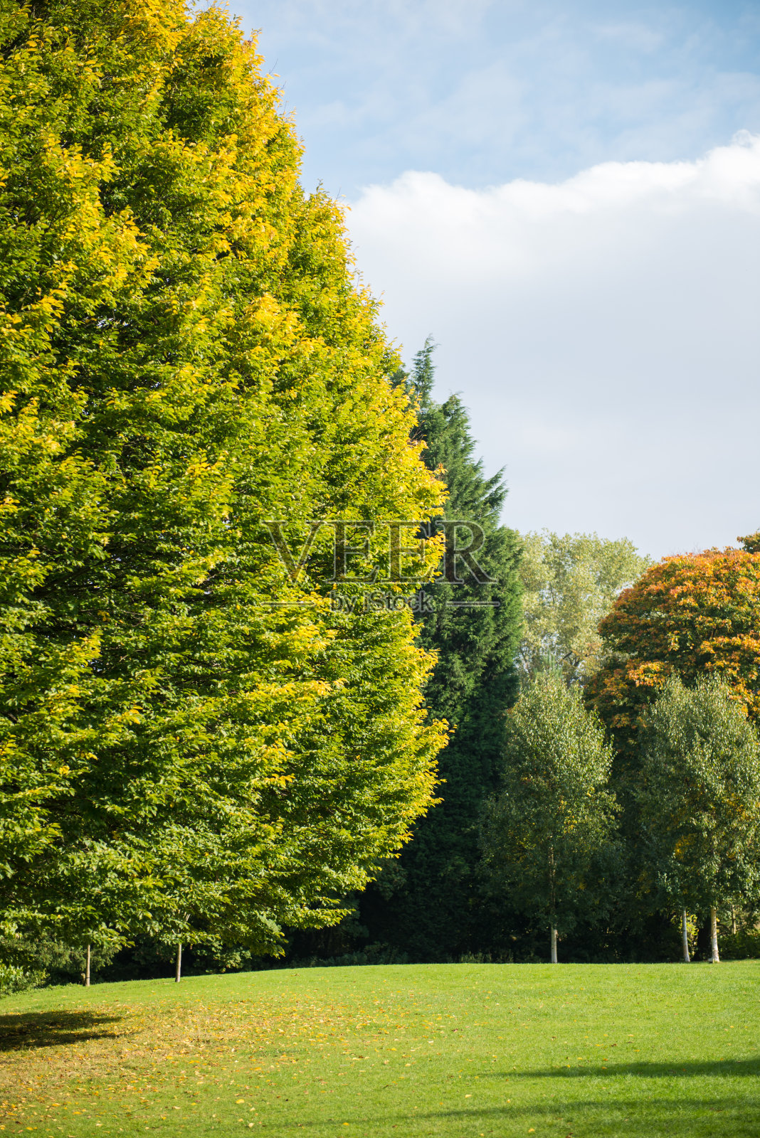 英国公园里的立秋照片摄影图片