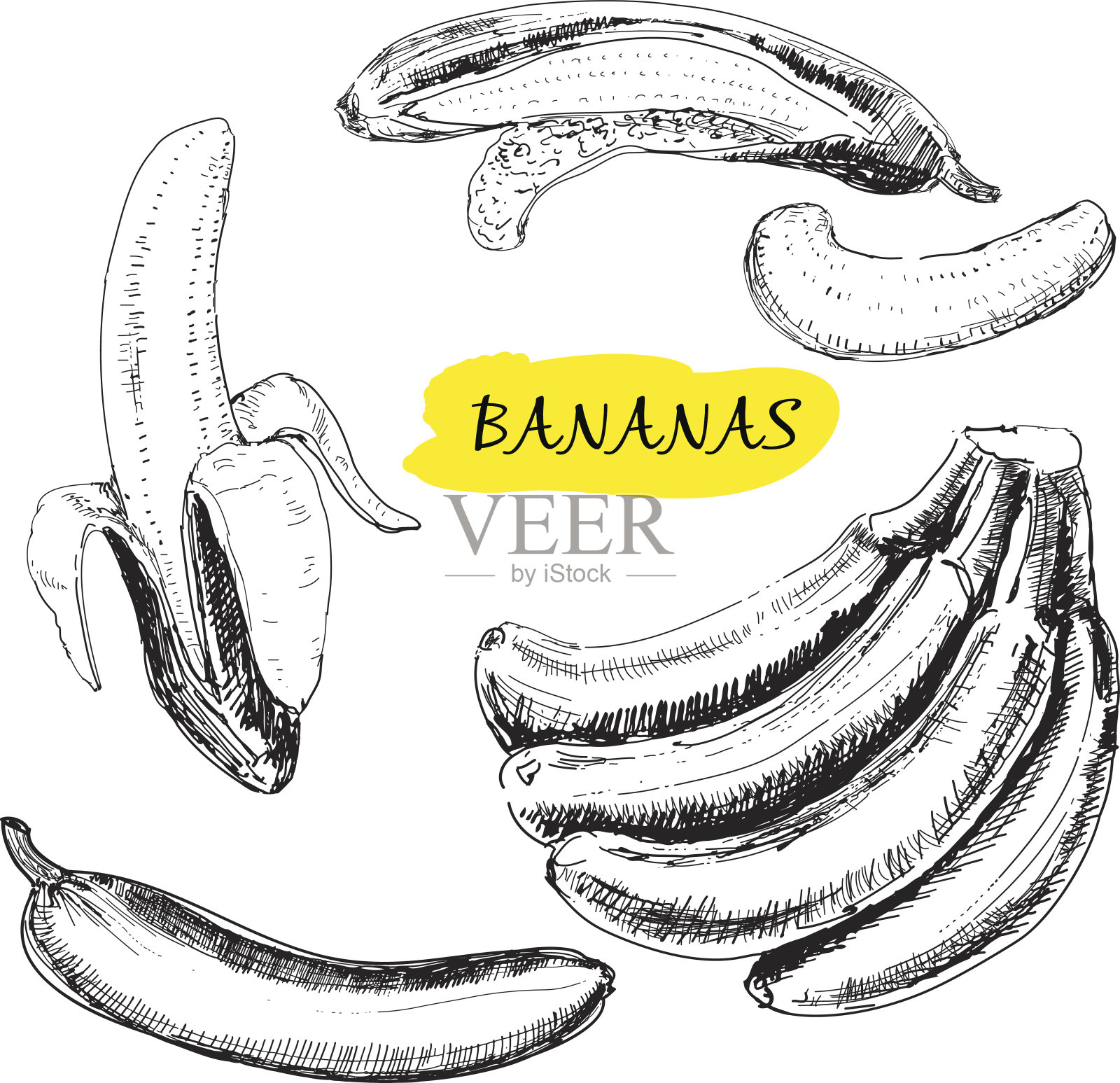 香蕉插画图片素材