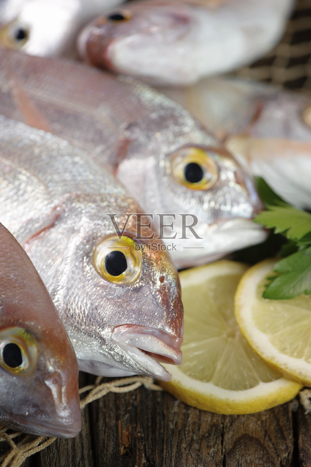 一堆鲜鱼照片摄影图片