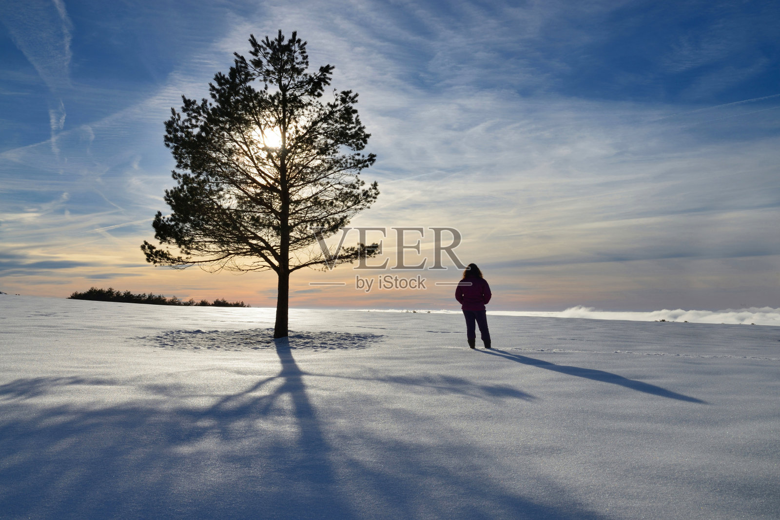 冬天的日落与树和剪影照片摄影图片