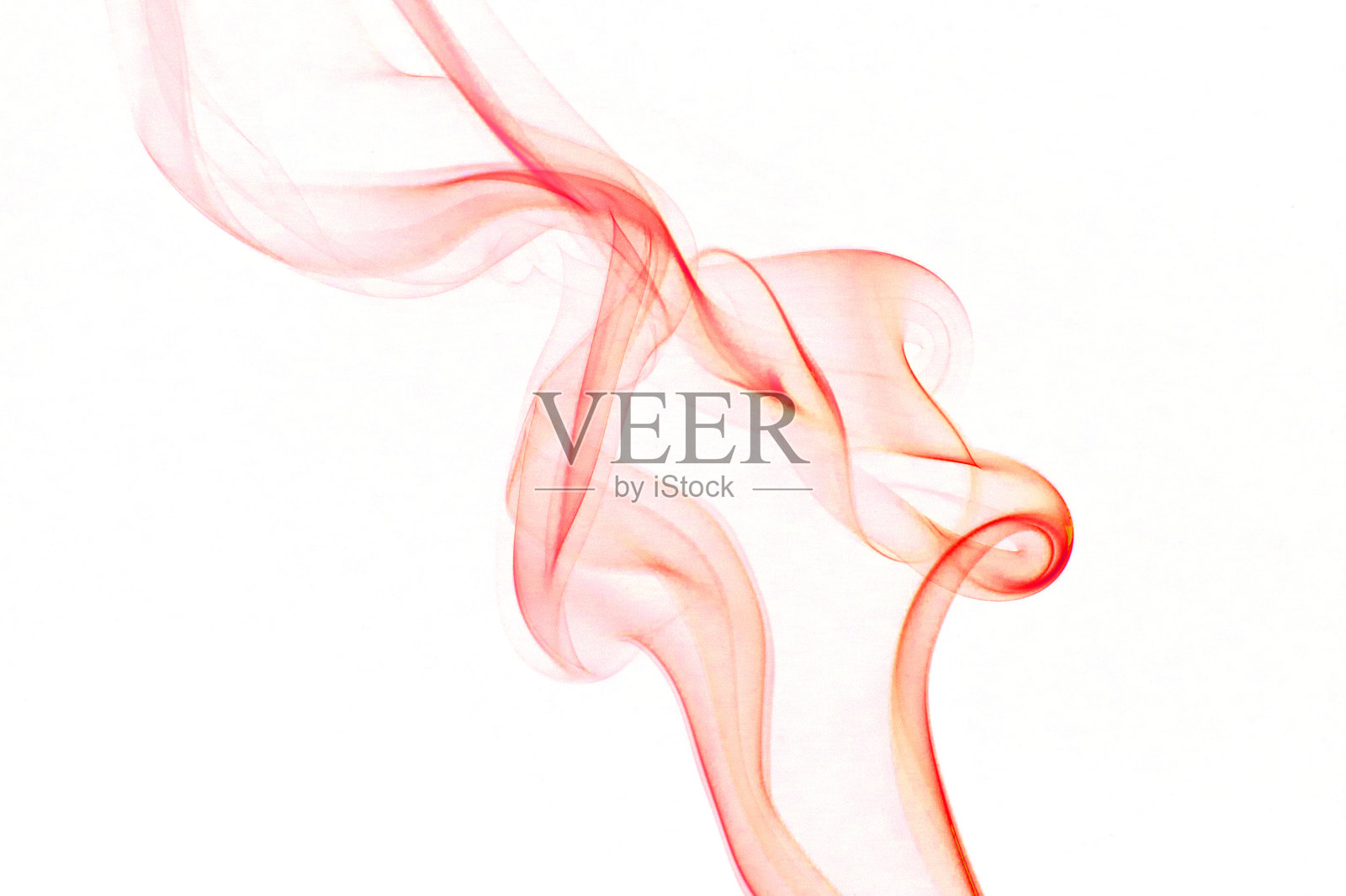 白色背景上的红色香照片摄影图片