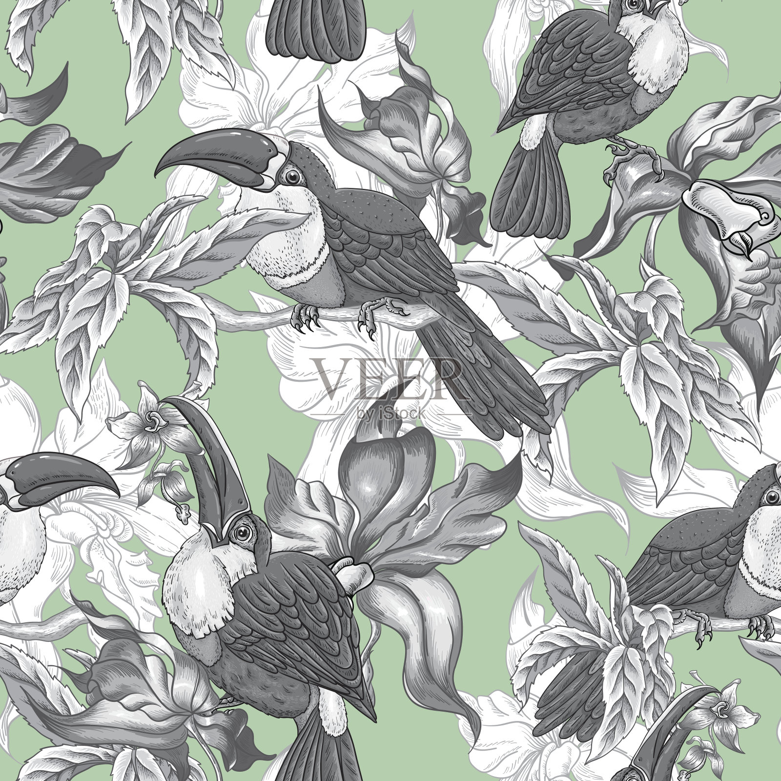 热带无缝背景与异国情调的花和巨嘴鸟插画图片素材