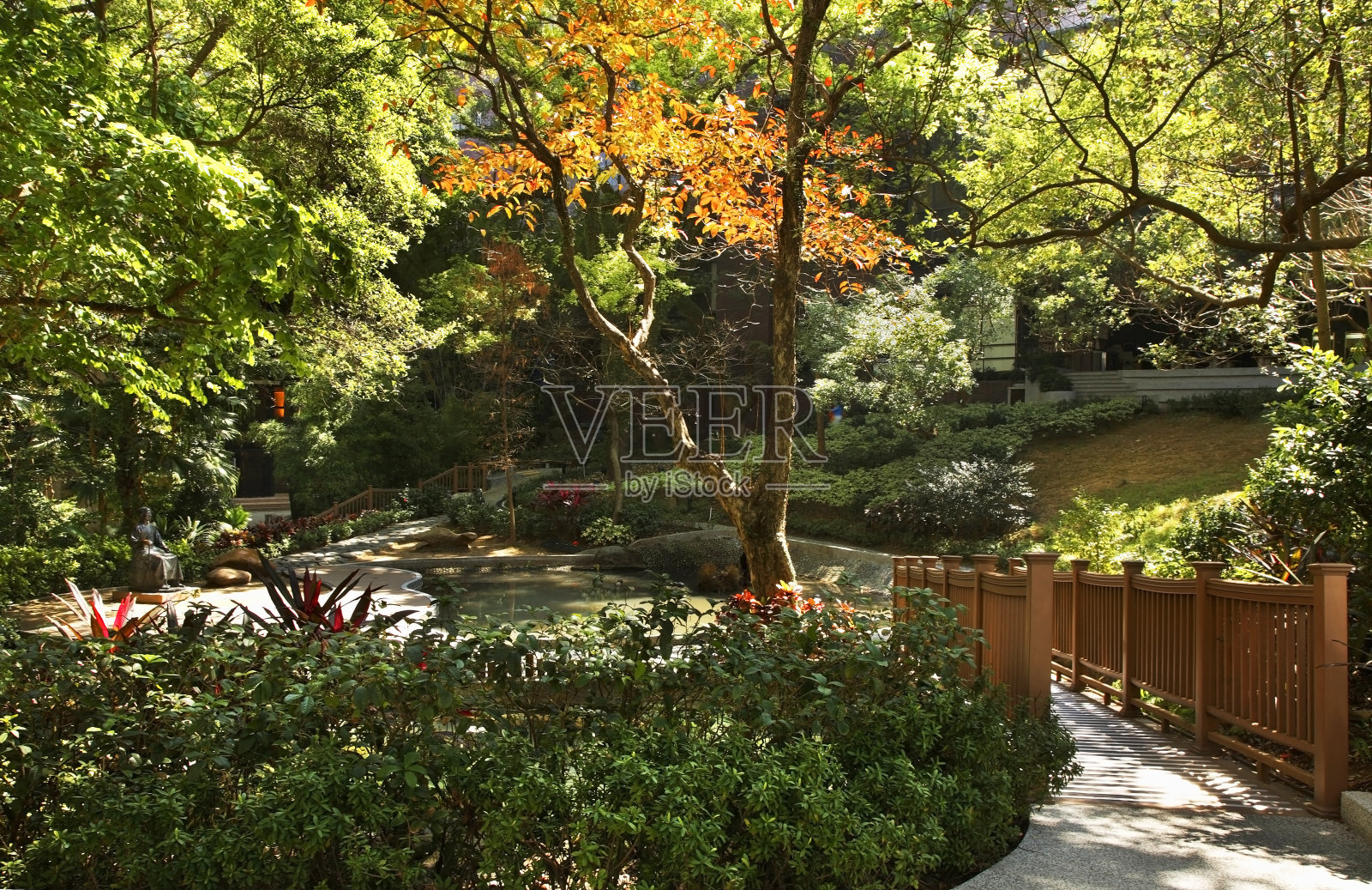 香港大学公园。中国照片摄影图片