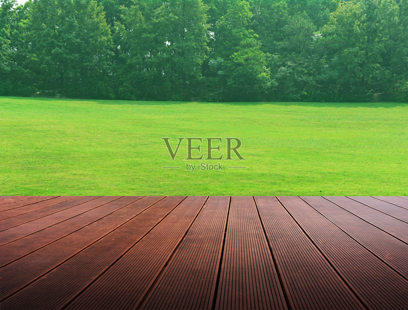 阳光下的绿色田野。木地板背景。照片摄影图片