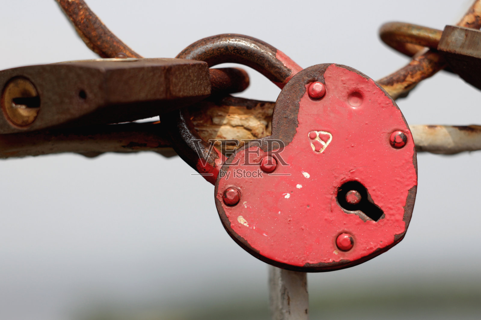 锁爱照片摄影图片