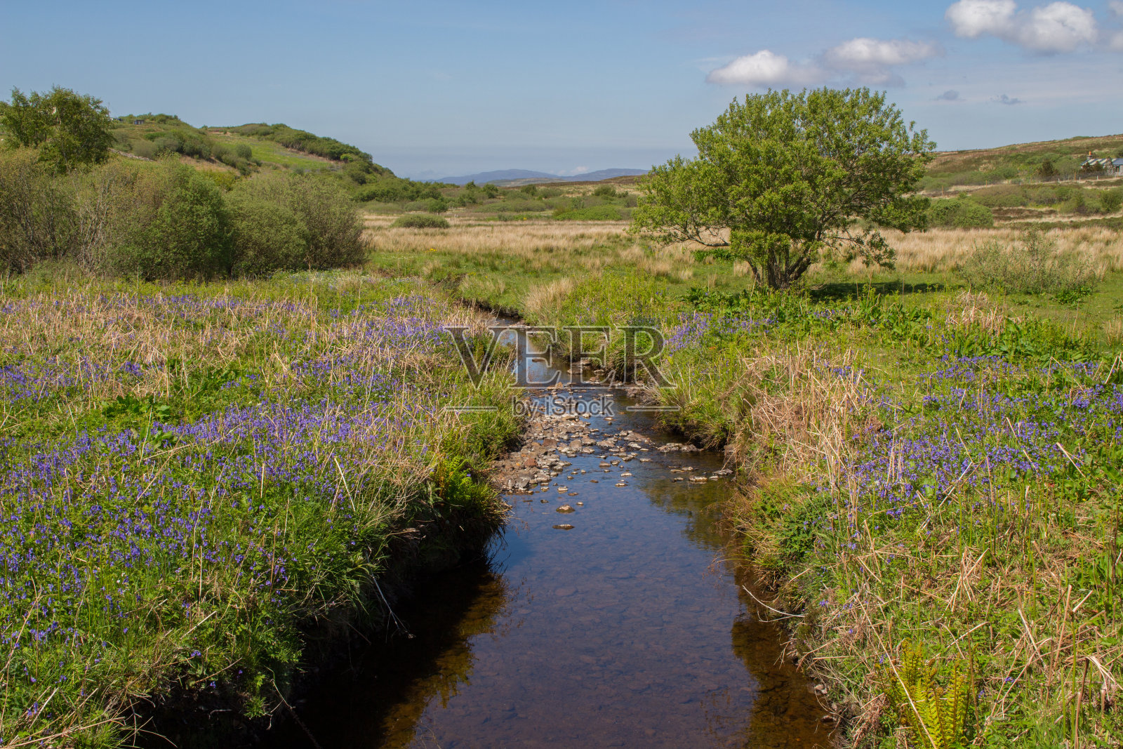 斯凯河和风信子岛照片摄影图片