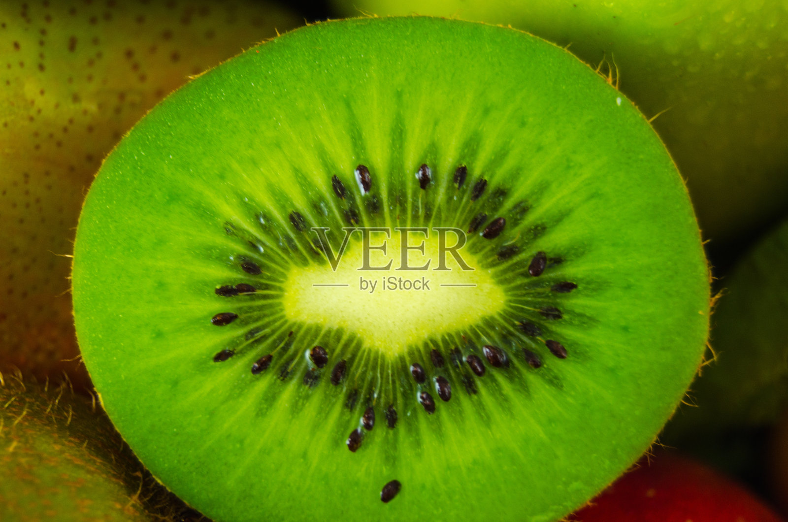 几维鸟的背景照片摄影图片