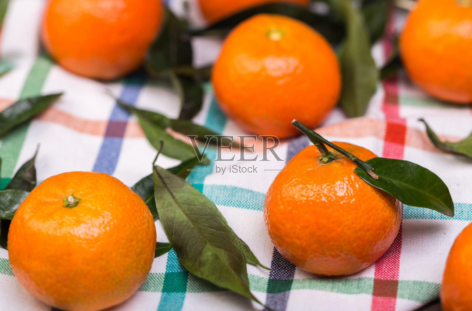 早午餐的橘子照片摄影图片