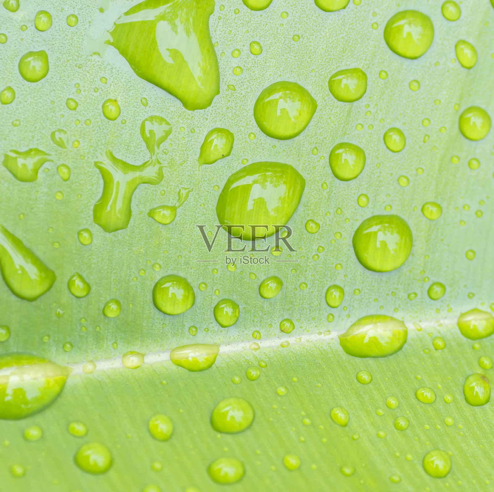 水滴照片摄影图片