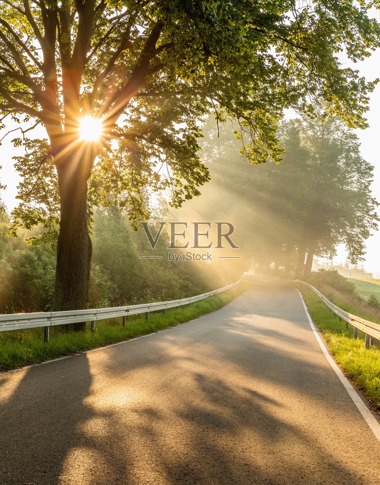 梦想的道路照片摄影图片