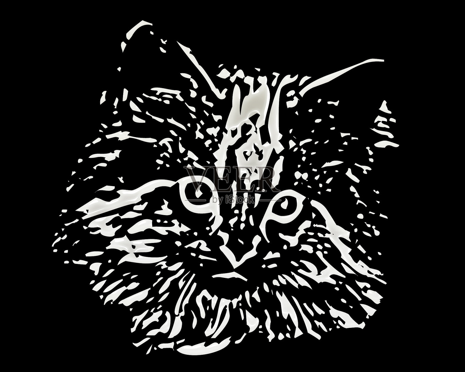 白色的猫脸照片摄影图片