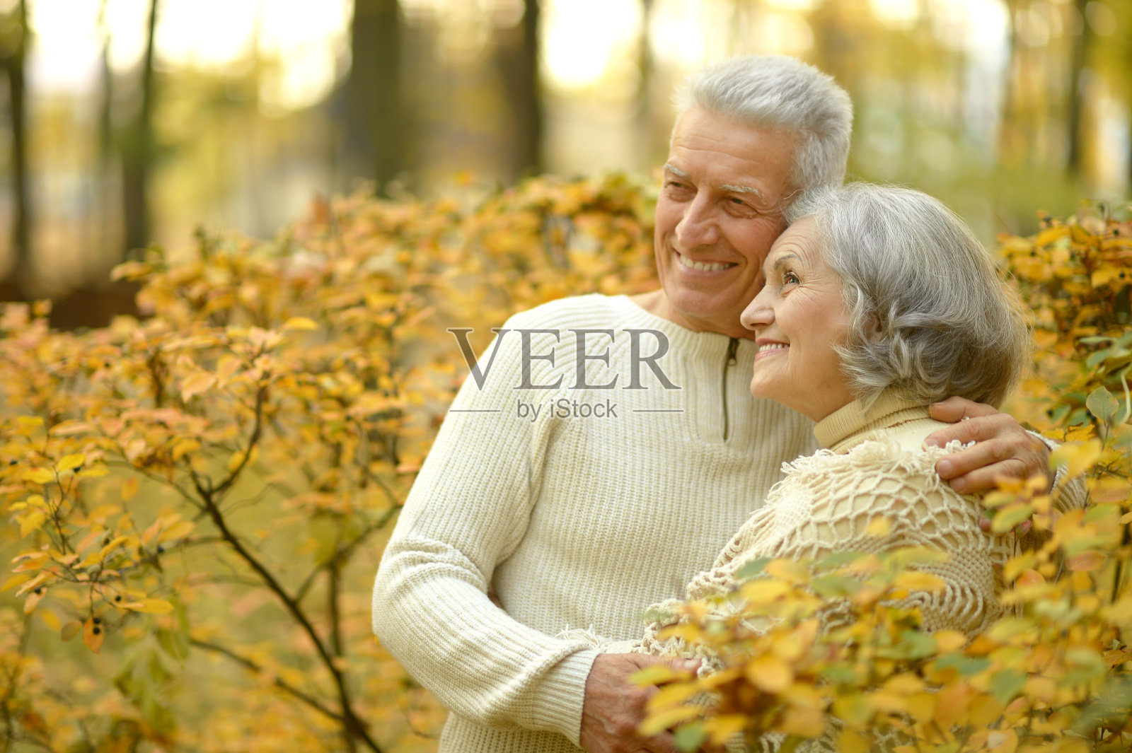 老年夫妇在秋季公园照片摄影图片