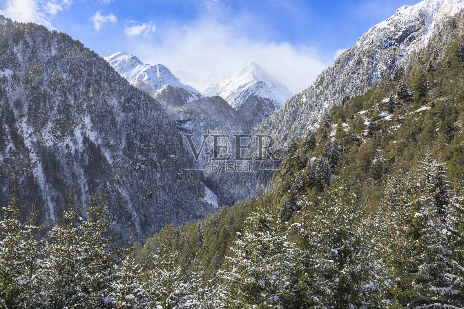 高山森林景观照片摄影图片