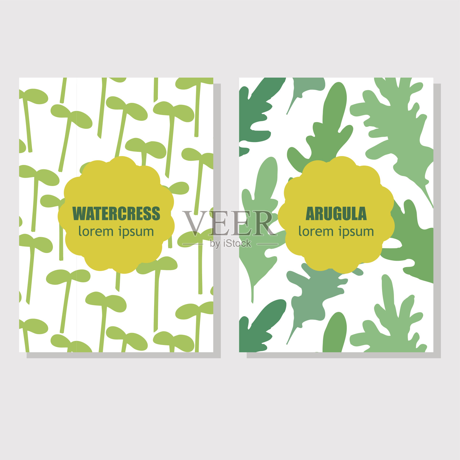 用香草和香料包装设计的概念设计模板素材