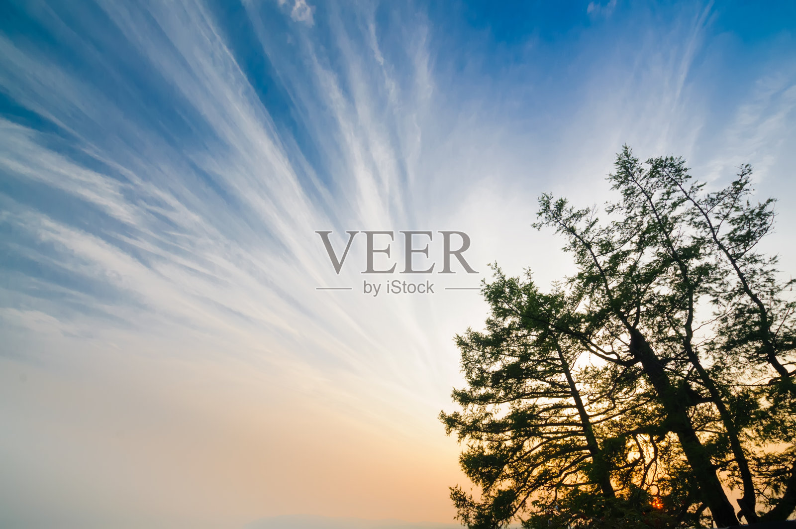 贝加尔湖，红日落，蓝天，树枝照片摄影图片