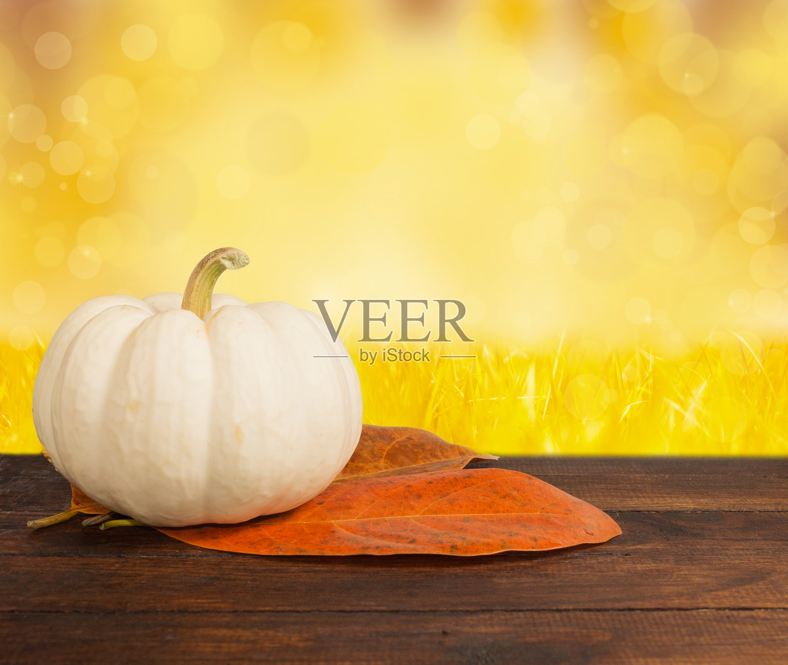 闪亮的小南瓜照片摄影图片